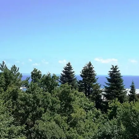 Bendita Mare Family *